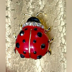 Beautiful Ladybug Brooch.